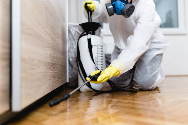 Professional Pest Control in Dyersville, IA