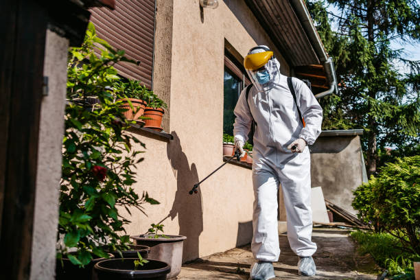 Best Best Pest Control Companies  in Dyersville, IA